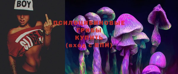 тгк Нефтекумск