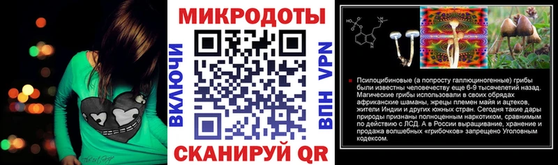 Псилоцибиновые грибы Psilocybe Покровск