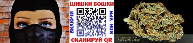 как найти наркотики  ОМГ ОМГ зеркало  Конопля сатива  Покровск 